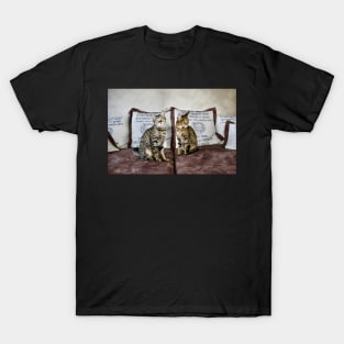 Savannah Cat 3 / Swiss Artwork Photography T-Shirt